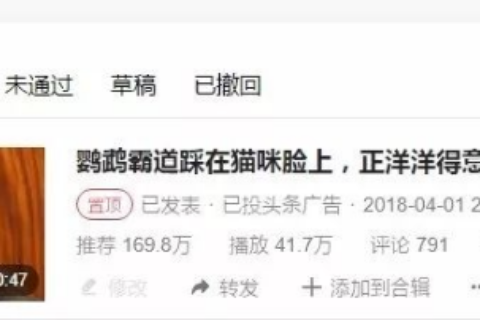 小白可操作，自媒体视频高级搬运玩法，实操全过程！