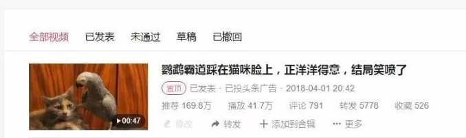 小白可操作，自媒体视频高级搬运玩法，实操全过程！