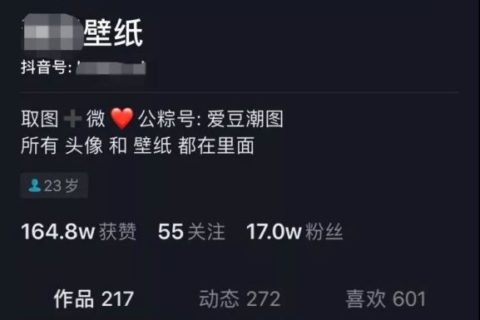 抖音壁纸号赚钱项目解析：月入5000+的实战操作！