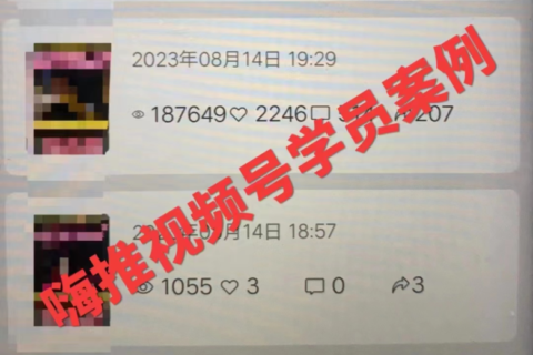 视频号连怼玩法，日入5000+的执行策略