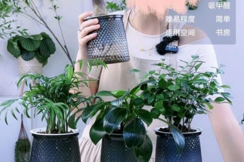 小众细分类目，一个月卖货超1000万！