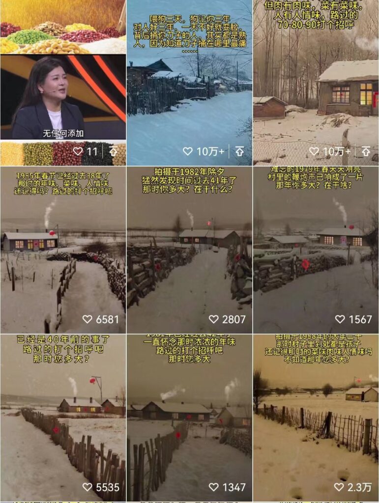 视频号赚钱项目解析：乡村风景动图视频，月变现1w+